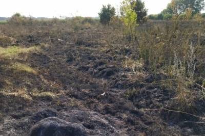 В Петровском районе при сжигании травы погибли мать и сын