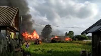 Видео страшного пожара в Кувшиновском районе Тверской области появилось в сети