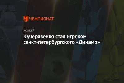 Кучерявенко стал игроком санкт-петербургского «Динамо»