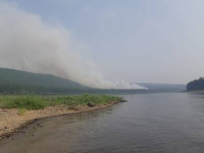 В Карелии трое пожарных пострадали в борьбе с огнем