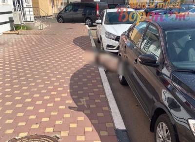 Из 17-этажного дома в Воронеже выпала женщина