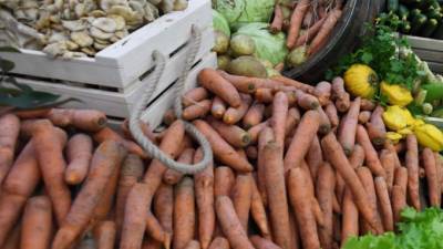 Правительство Ленобласти займётся стабилизацией цен на сезонную овощную продукцию