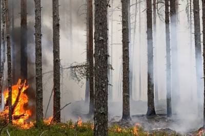 В Николаевском районе Хабаровского края введен режим ЧС из-за пожара