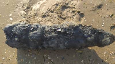 Был заряжен: опасный предмет таился на пляже Анапы