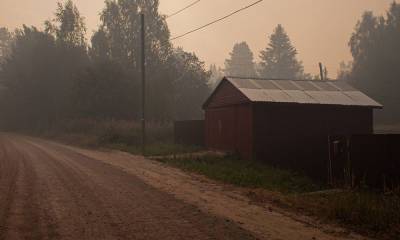 Власти еще одного района Карелии признали угрозу населенным пунктам из-за огня