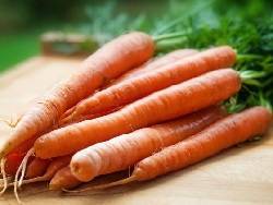 Гордеев: наценка на морковь от поля до прилавка достигает 350%, на картофель – 165%