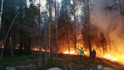 В охваченной лесными пожарами Карелии началась эвакуация жителей
