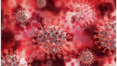 Более 7 тыс. человек в Сосновом Бору заболели коронавирусом за время пандемии