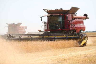 Волгоградские аграрии собрали первые 2 млн тонн зерна