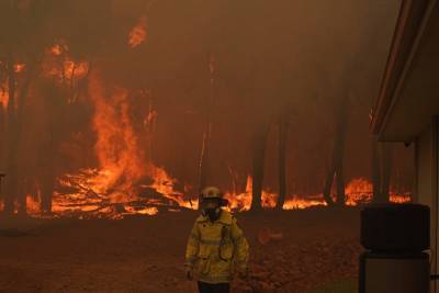 Ученые из США заявили, что пожары способствуют распространению COVID-19 и мира