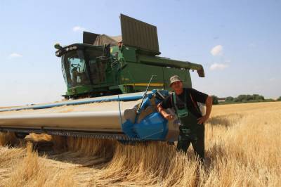 Экономно и экологично: аграрии в Липецкой области очесывают ячмень