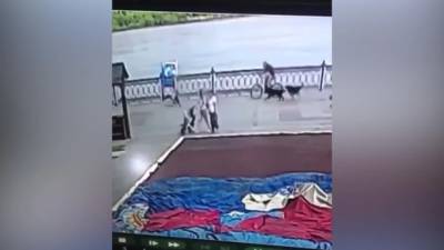 Преследуемый стаей собак велосипедист сбил россиянку