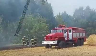 В Чекмагушевском районе Башкирии горит лес