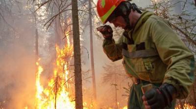 В Коми шесть лесных пожаров произошли за сутки из-за гроз