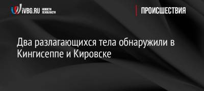 Два разлагающихся тела обнаружили в Кингисеппе и Кировске