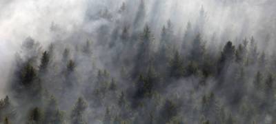 Дым от пожаров накрыл экскурсионную зону заповедника "Кивач" в Карелии