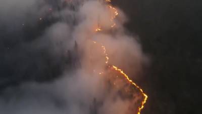 Уничтожено более 1,5 млн гектаров леса: главное о природных пожарах в Якутии