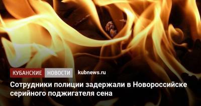 Сотрудники полиции задержали в Новороссийске серийного поджигателя сена