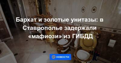 Бархат и золотые унитазы: в Ставрополье задержали «мафиози» из ГИБДД