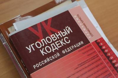 Amnesty International призвала российские власти отменить две статьи Уголовного кодекса