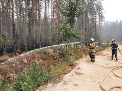 Площадь лесных пожаров в Карелии достигла почти 6 тыс. га