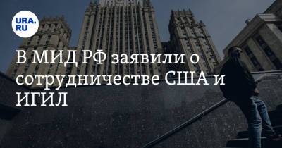 В МИД РФ заявили о сотрудничестве США и ИГИЛ