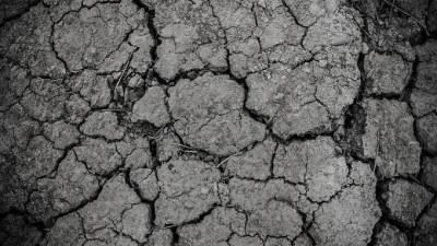 В Курганской области ввели режим ЧС из-за засухи