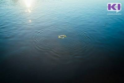 На Выльгортских озерах утонул молодой человек