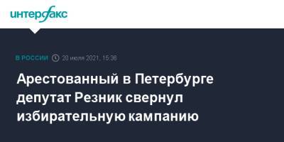 Арестованный в Петербурге депутат Резник свернул избирательную кампанию