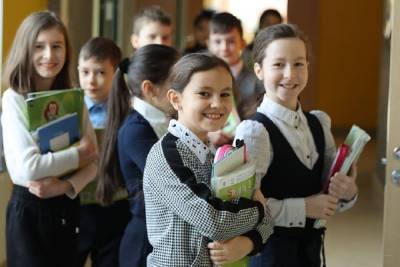 Справки в школы Серпухова больше не надо будет приносить лично