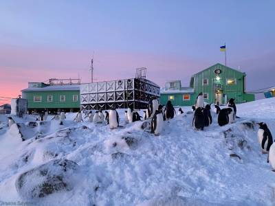 Украинский антарктический центр объявил набор в 27-ю антарктическую экспедицию