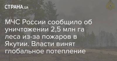 МЧС России сообщило об уничтожении 2,5 млн га леса из-за пожаров в Якутии. Власти винят глобальное потепление