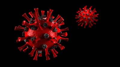 Ученые из Китая выяснили, почему дельта-коронавирус настолько заразный и мира
