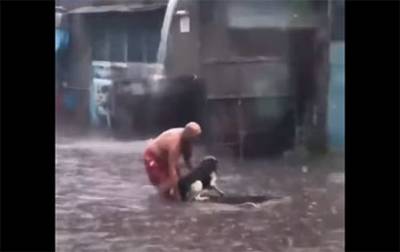Герой дня: В Киеве мужчина спас собаку во время потопа (ВИДЕО)