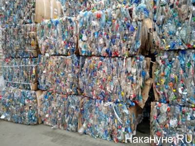 "Мы боремся не столько с пластиком, сколько с неперерабатываемой упаковкой" - РЭО