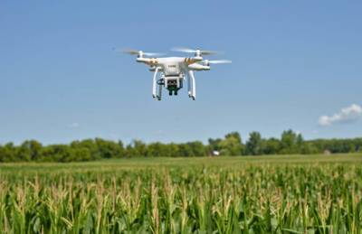 Cygnet тестирует дроны для опрыскивания кукурузы