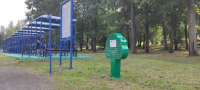 В Петрозаводске установили еще один экологический арт-объект