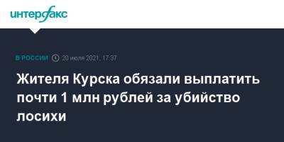 Жителя Курска обязали выплатить почти 1 млн рублей за убийство лосихи