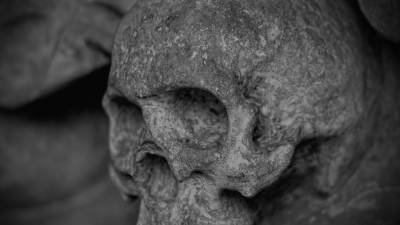 Школьник в Ленобласти случайно откопал человеческие останки времен ВОВ