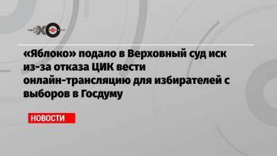 «Яблоко» подало в Верховный суд иск из-за отказа ЦИК вести онлайн-трансляцию для избирателей с выборов в Госдуму