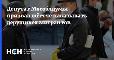 Депутат Мособлдумы призвал жёстче наказывать дерущихся мигрантов