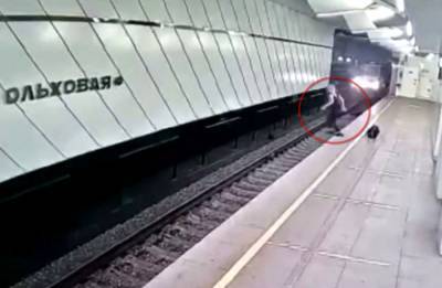 В Москве пассажир прыгнул под приближающийся поезд в метро и сам вылез между вагонов (видео)