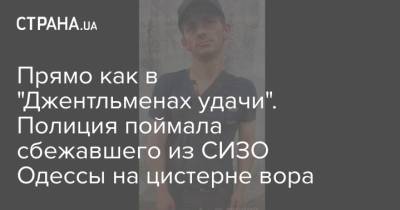 Прямо как в "Джентльменах удачи". Полиция поймала сбежавшего из СИЗО Одессы на цистерне вора