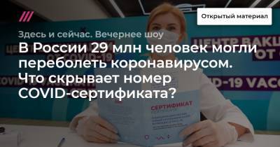 В России 29 млн человек могли переболеть коронавирусом. Что скрывает номер COVID-сертификата?