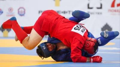 Российские самбисты готовятся в ближайшее время попасть на «олимпийские ковры»