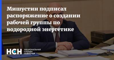 Мишустин подписал распоряжение о создании рабочей группы по водородной энергетике