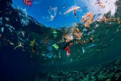 В Мексике состоялся первый в мире турнир по "пластиковой рыбалке"