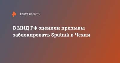 В МИД РФ оценили призывы заблокировать Sputnik в Чехии