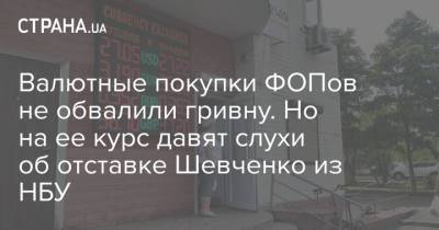 Валютные покупки ФОПов не обвалили гривну. Но на ее курс давят слухи об отставке Шевченко из НБУ