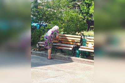 В Киеве пенсионерка распилила лавочку у подъезда, чтобы молодежь не шумела под окнами